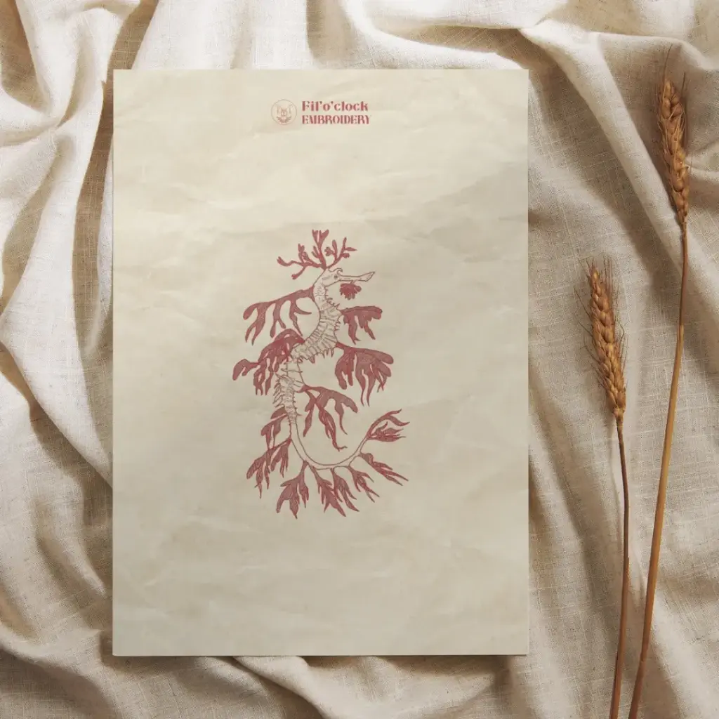 Carte illustrée Hippocampe 1