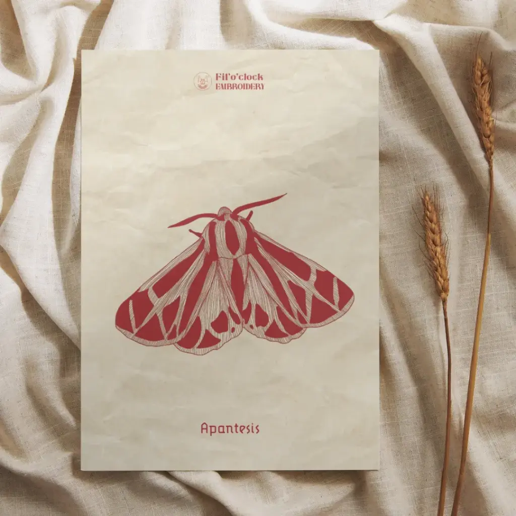 Carte illustrée Apantesis - Moths