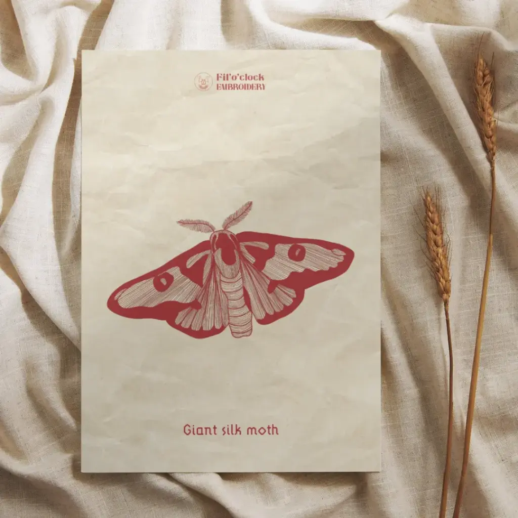 Carte illustrée Giant Silk Moth - Moths