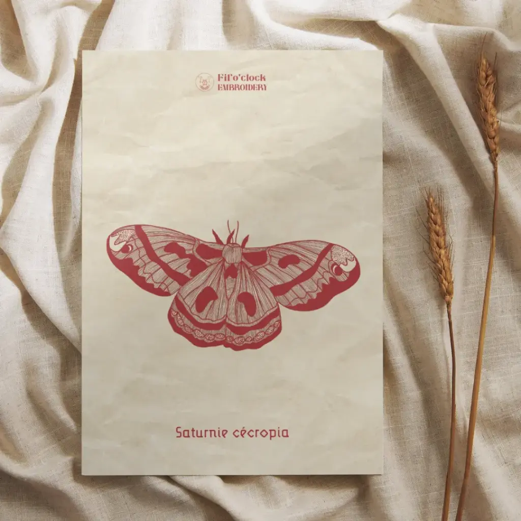 Carte illustrée saturnie Cécropia - Moths