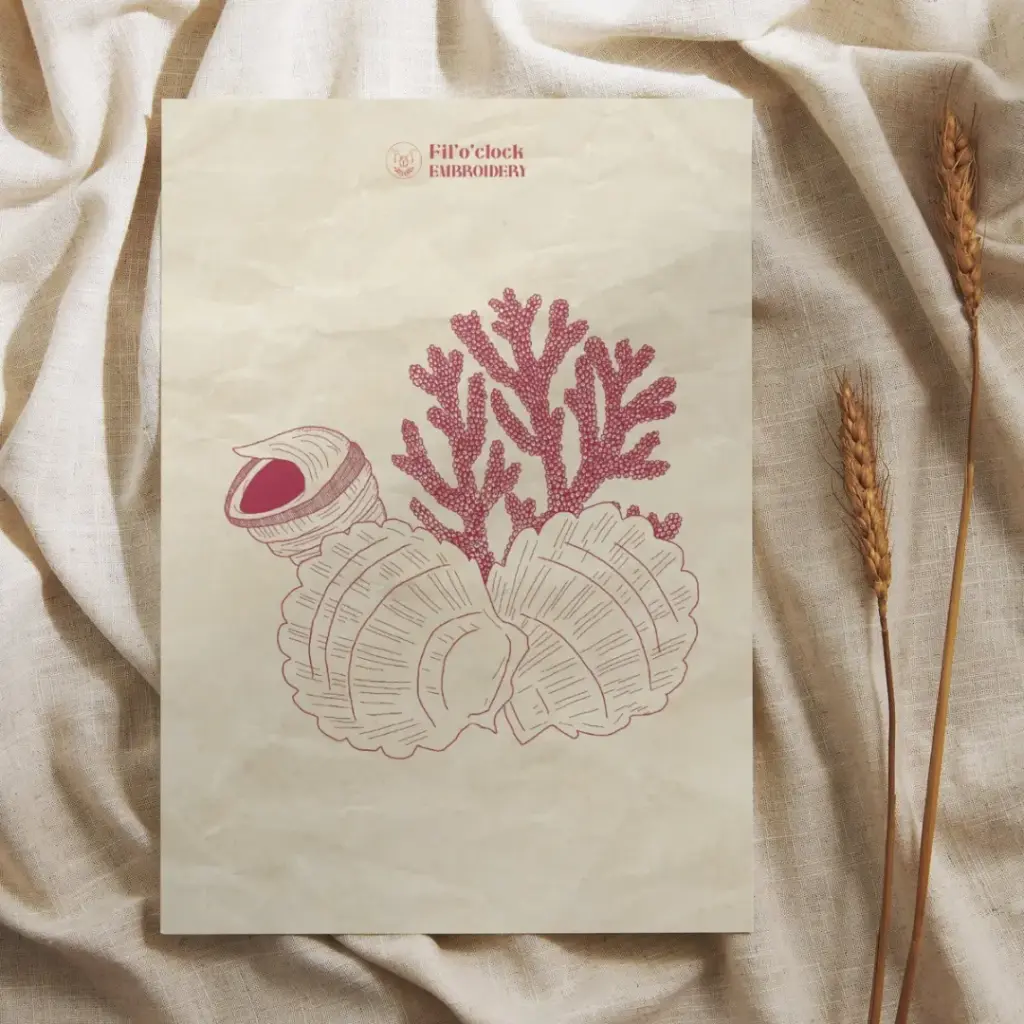 Carte illustrée Coquillage 3 - Néréides