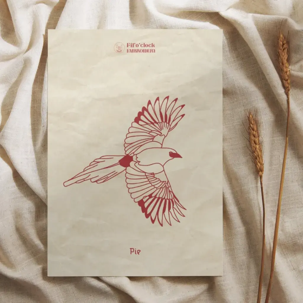 Carte illustrée Pie - Oiseaux