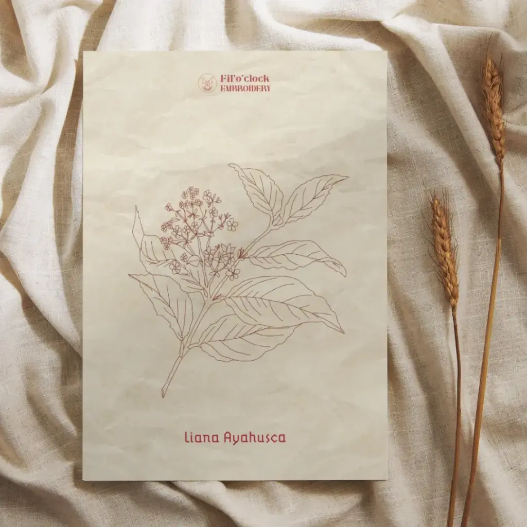 Carte illustrée Liane Ayahusca - Plantes Psychotropes
