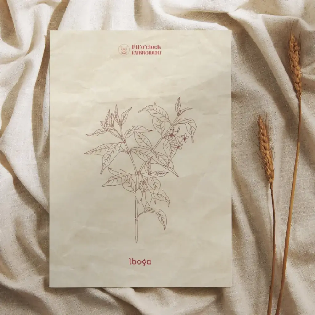 Carte illustrée Iboga - Plantes psychotropes