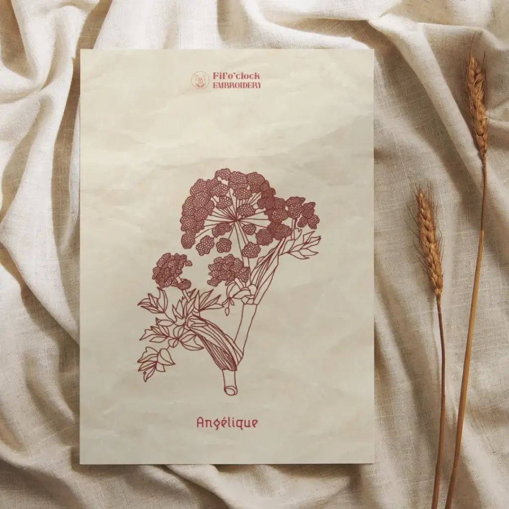 Carte illustrée Angélique - Plantes tinctoriales