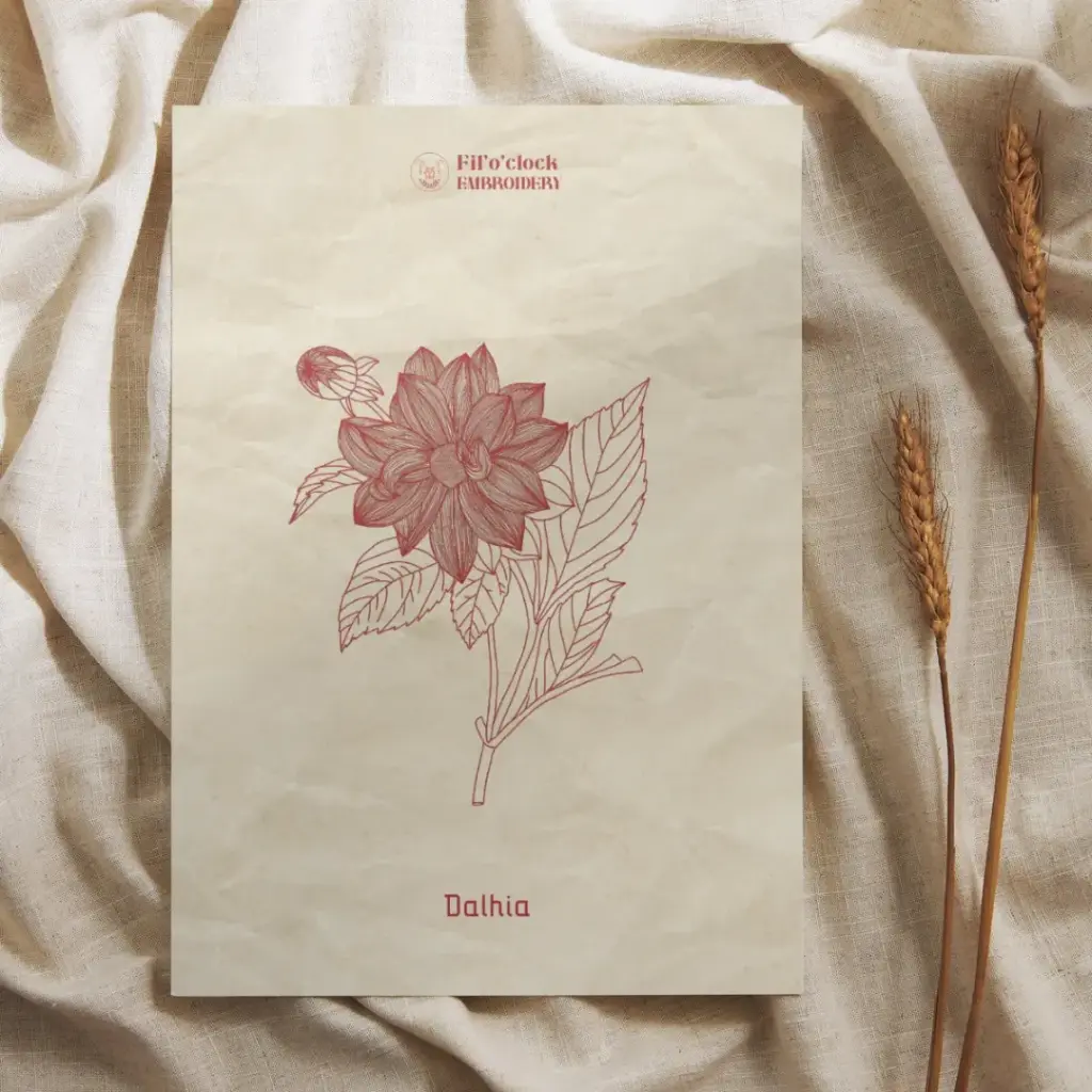 Carte illustrée Dalhia - Plantes tinctoriales