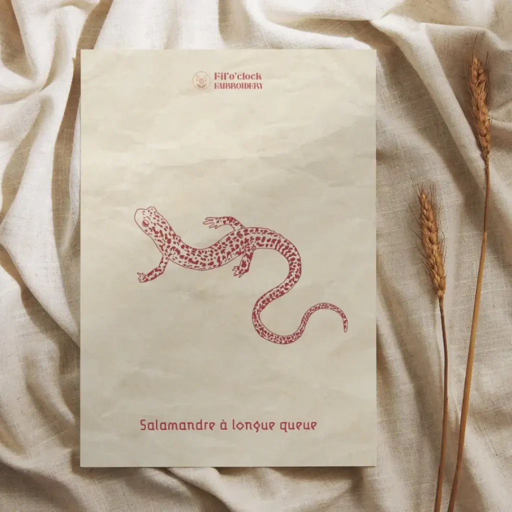 Carte illustrée Salamandre à longue queue