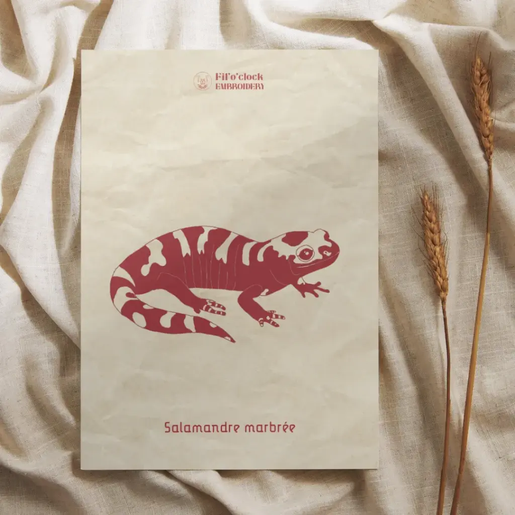 Carte illustrée Salamandre marbrée