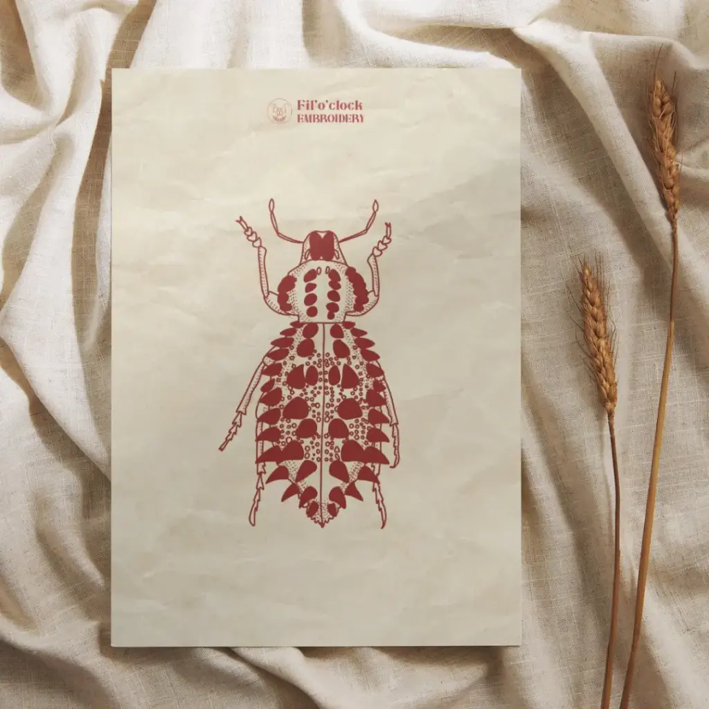 Carte illustrée Scarabée 4