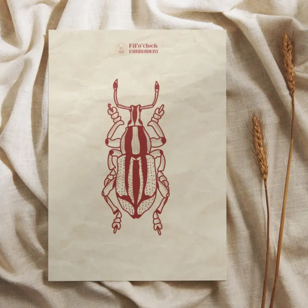 Carte illustrée scarabée 6