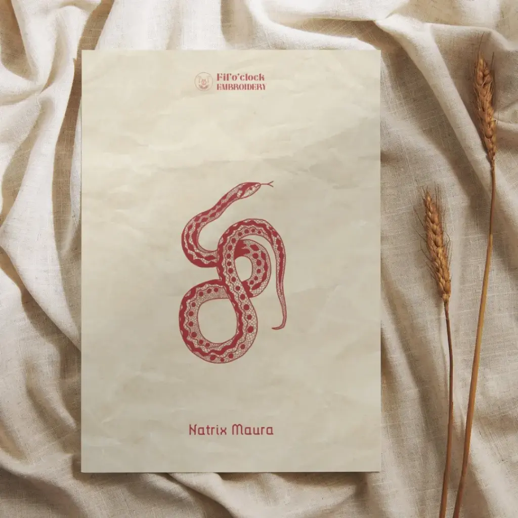 Carte illustrée Natrix Maura - Serpents