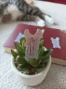Sticker Holographique & illustré - Homard