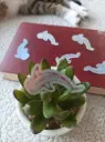 Sticker holographique & illustré - Requin baleine