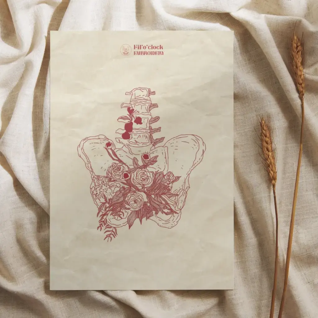 Carte illustrée Coccyx fleuri - Anatomie