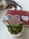 Sticker holographique & illustré - Cranes fleuris - Dinosaure