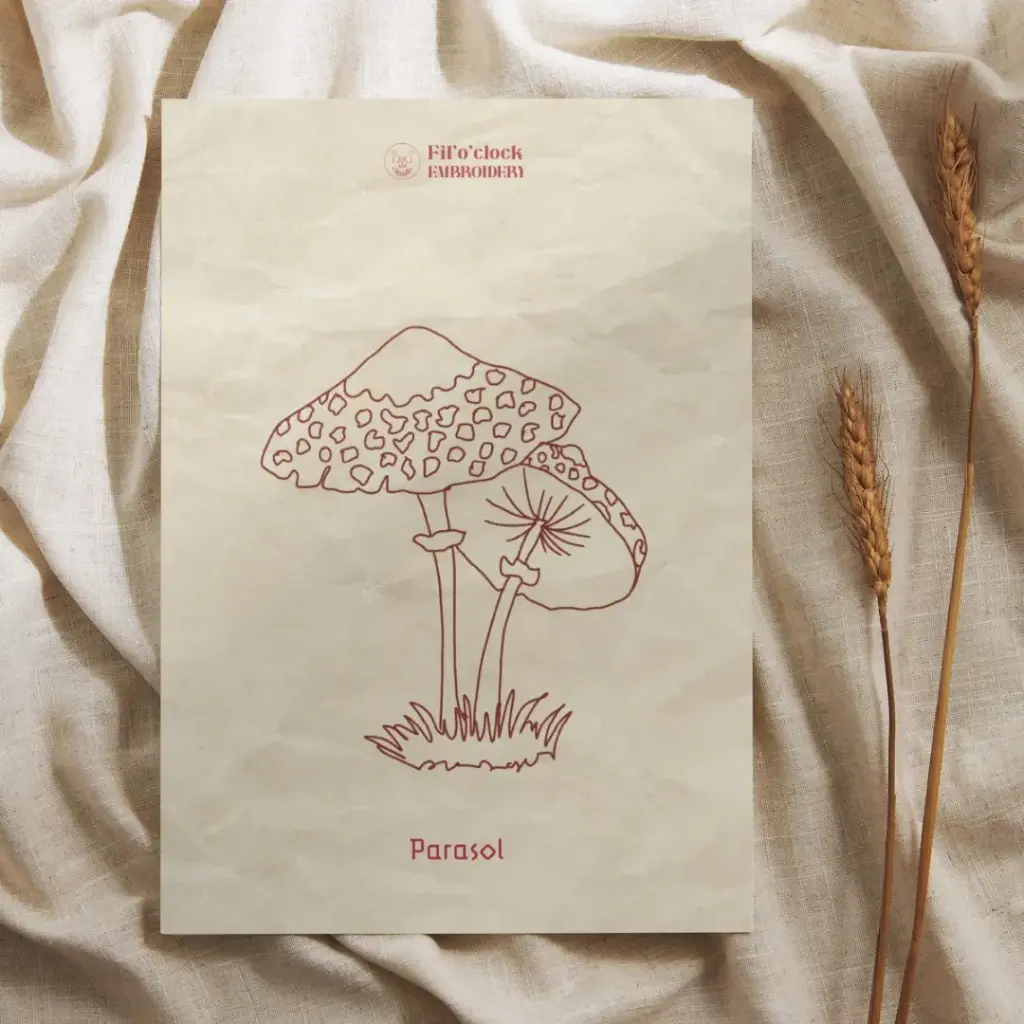 Carte illustrée Parasol - Champignons