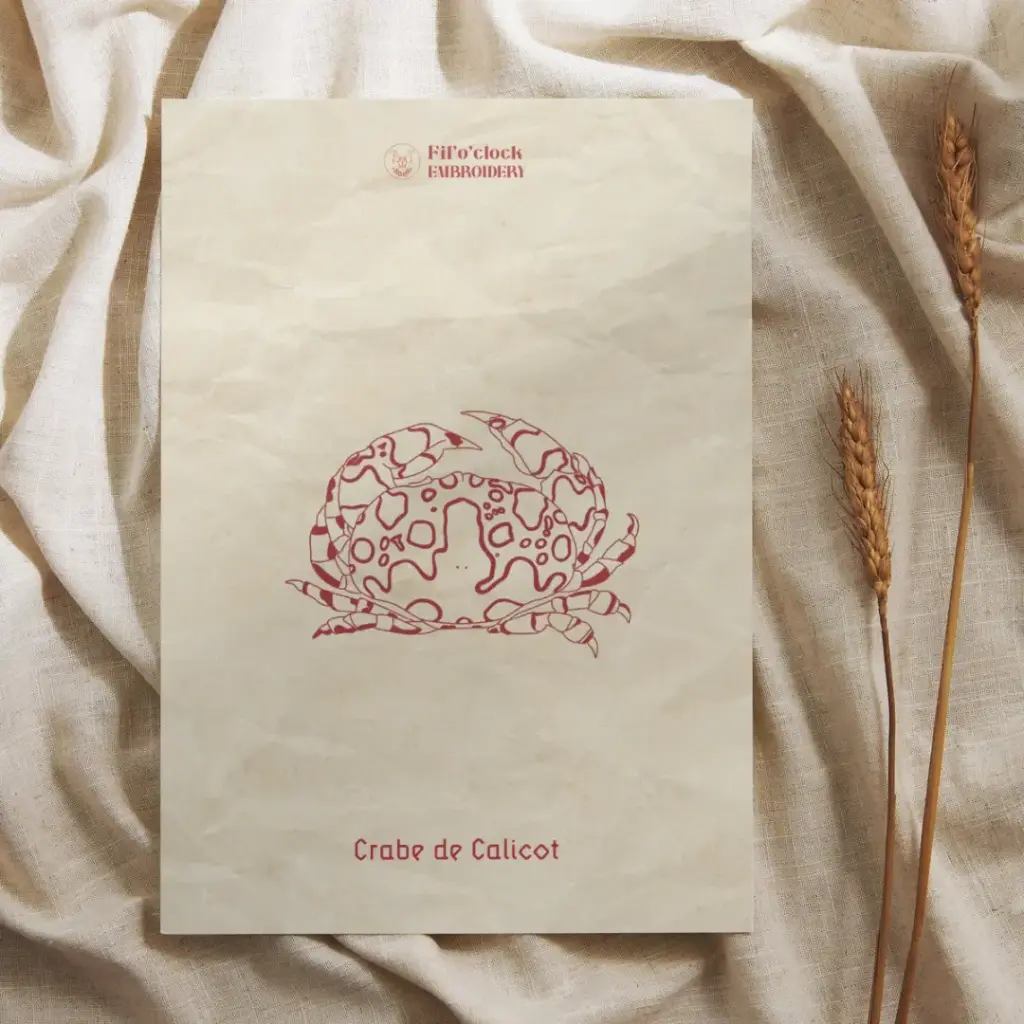 Carte illustrée Crabe de Calicot - Crustacés