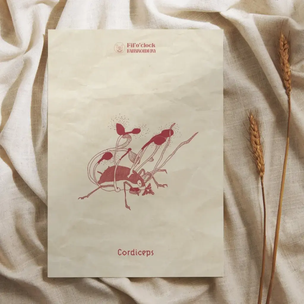 Carte illustrée Cordiceps - Plantes de Geek